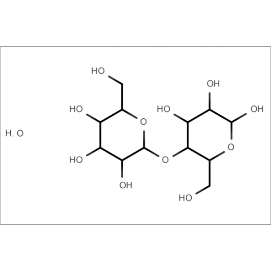 Lactose Monohydrate