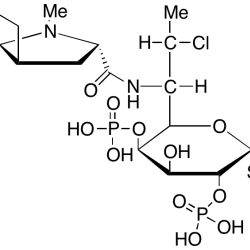 Clindamycin 2,4-Diphosphate