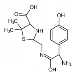 Amoxicillin Penilloic Acid