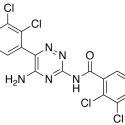 3-(2,3-Dichlorobenzamido) Lamotrigine