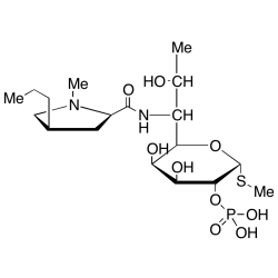 Lincomycin 2-Phosphate
