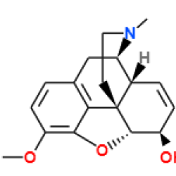 isocodeine