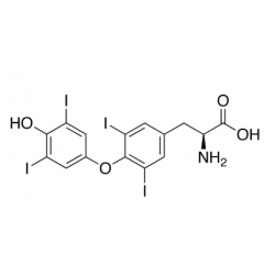 Levothyroxine  