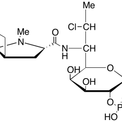 7-epi-Clindamycin Phosphate