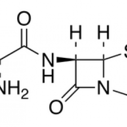 Ampicillin (Anhydrous)