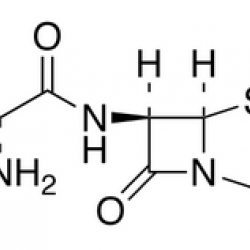 Ampicillin