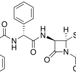 Phenylglycyl Cephalexin